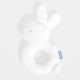 Rabbit rattle