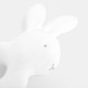 Rabbit rattle
