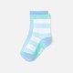 Baby boy socks duo