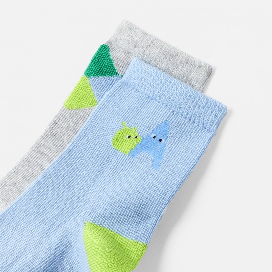 Baby boy socks duo