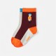 Baby boy socks duo