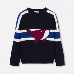 Boy sweater
