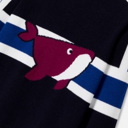 Boy sweater