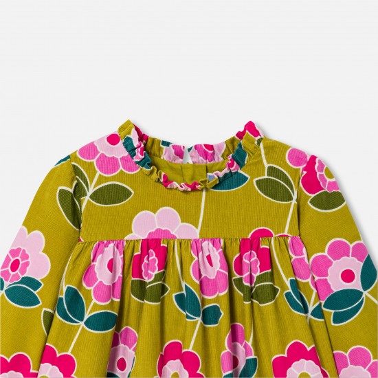 Baby girl velvet dress