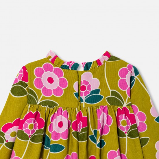 Baby girl velvet dress