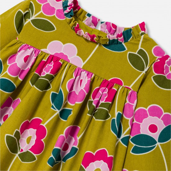 Baby girl velvet dress