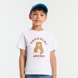 Boy t-shirt in cotton jersey