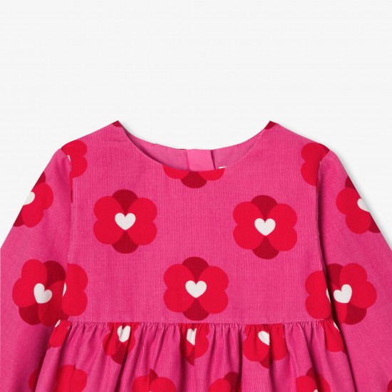 Baby girl dress in velvet milleraies