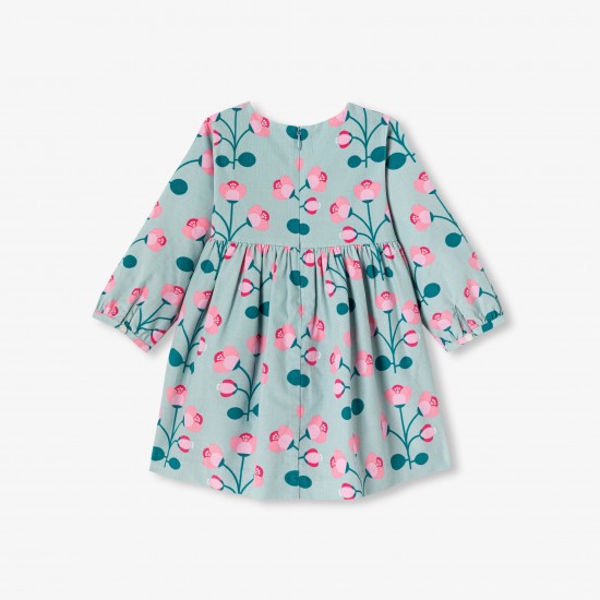 Baby girl velvet  dress