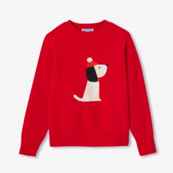 Children Holiday sweater