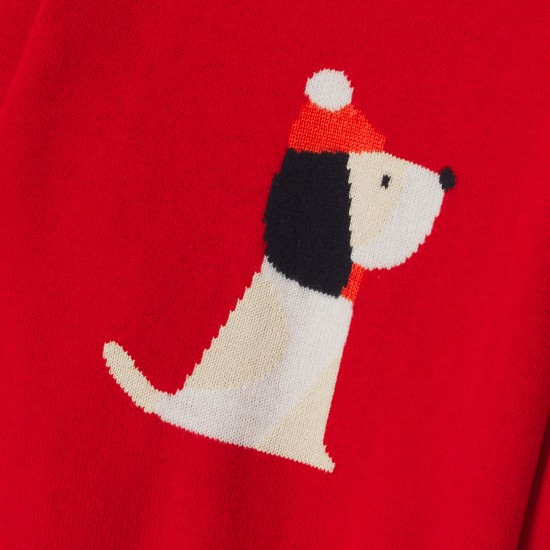 Children Holiday sweater