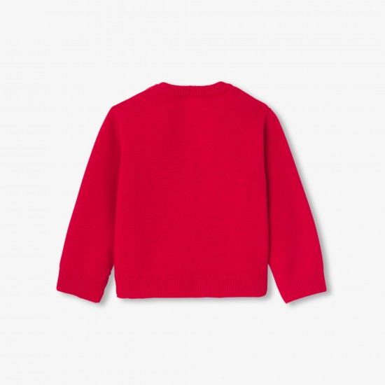 Baby boy intarsia dog sweater