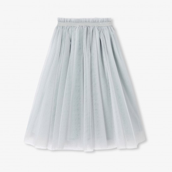 Girl tutu in sequined tulle