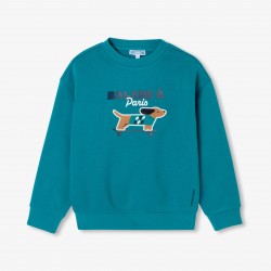 Boy fleece sweatshirt