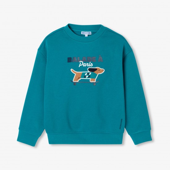 Boy fleece sweatshirt